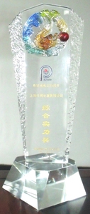 2012年上海希望经济城19周年“综合实力奖”